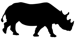 Rhino PNG-24802